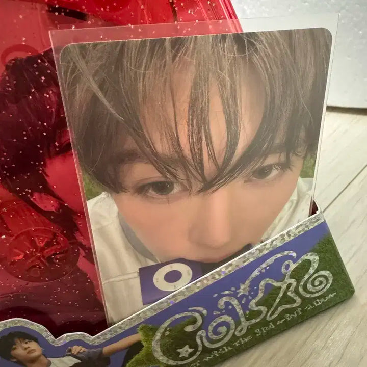 위시 컬러 쥬얼 단체버전