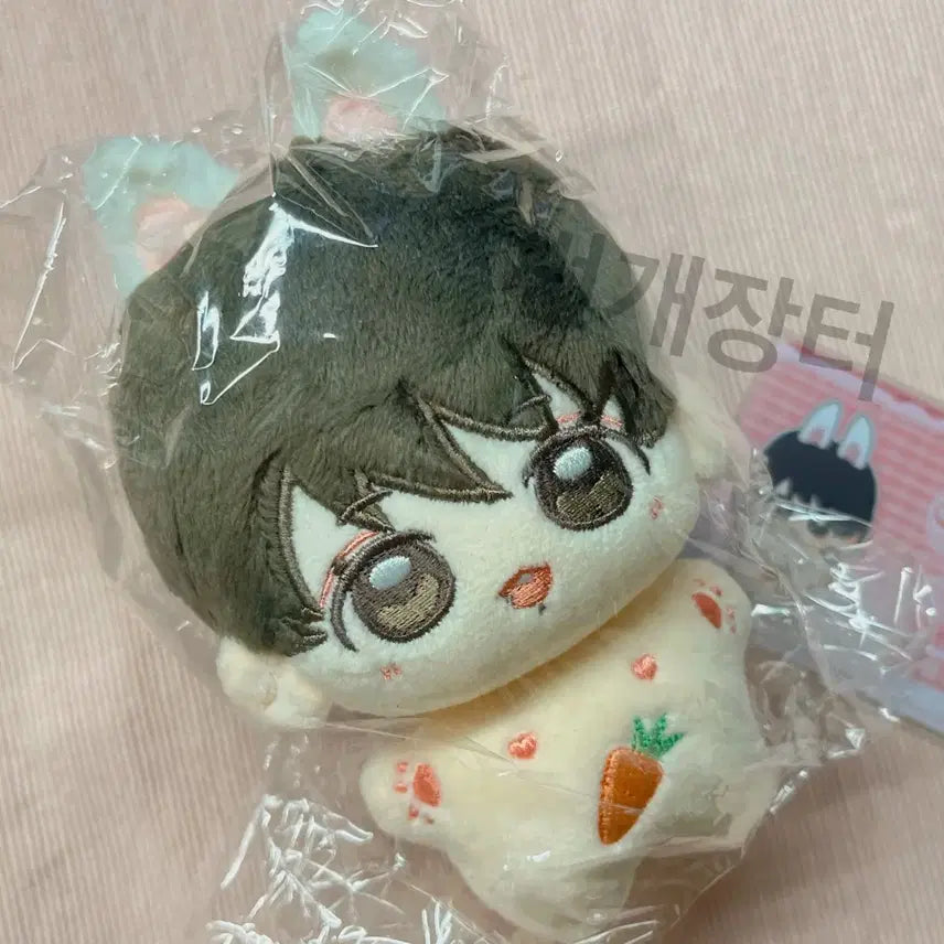 10cm 방탄 정국 속성 솜인형 다이죠꾹(순둥꾹) 현물 양도(솜깅)