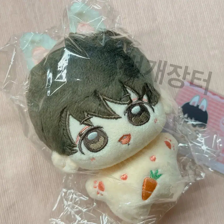 10cm 방탄 정국 속성 솜인형 다이죠꾹(순둥꾹) 현물 양도(솜깅)