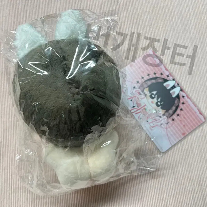 10cm 방탄 정국 속성 솜인형 다이죠꾹(순둥꾹) 현물 양도(솜깅)