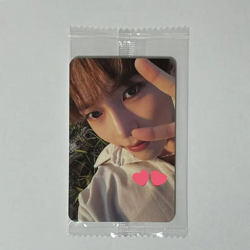제로베이스원 네버세이네버 애플뮤직 미공포 성한빈 포카
