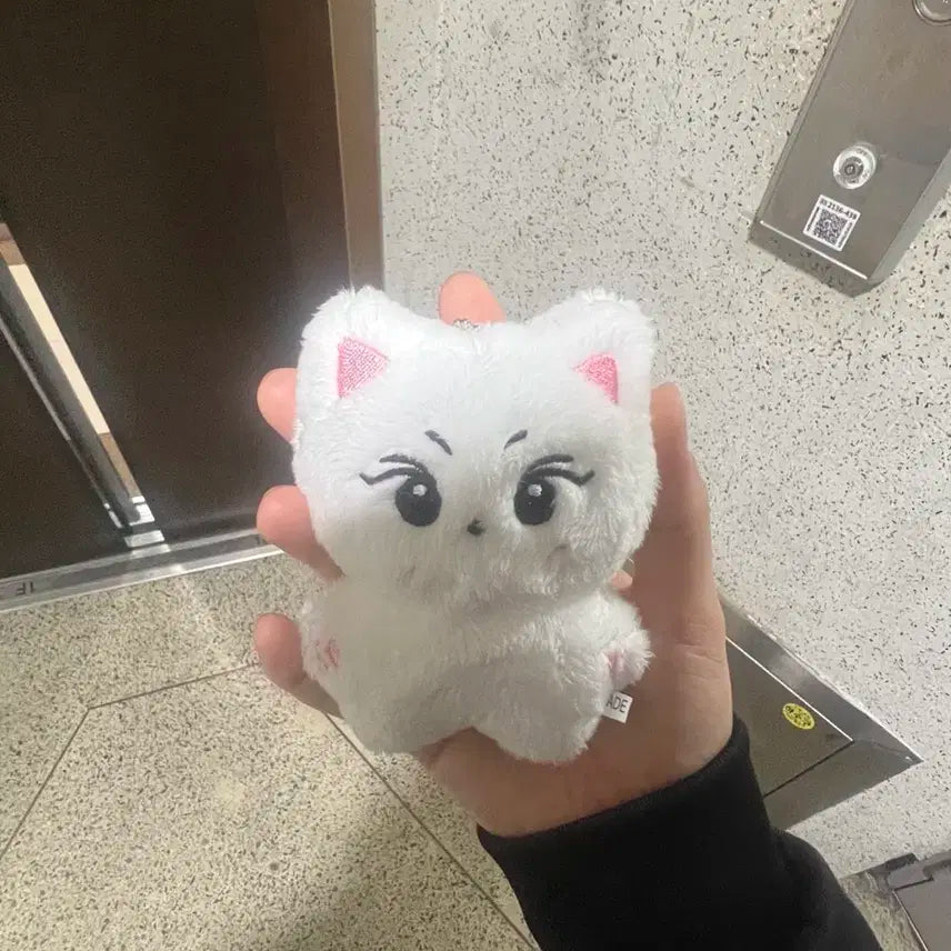 엔하이픈 정원 인형 양꼬미 양도