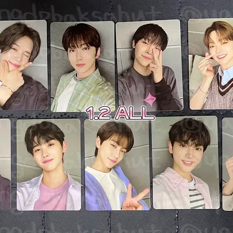 앤팀 응원봉 포카 일괄 케이 후마 니콜라스 의주 유마 죠 타키 양도