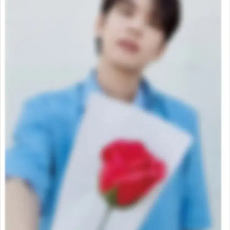 데이식스 원필 장미 포카