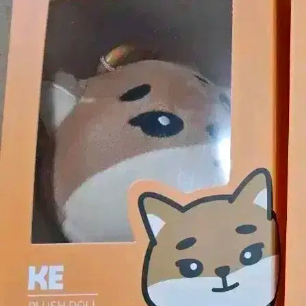 20) 데이식스 데니멀즈 플러시 키링  케 영현 고양콘 엠디