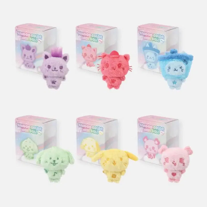 컬러 위시돌 인형 시오닝 시크릿 양도