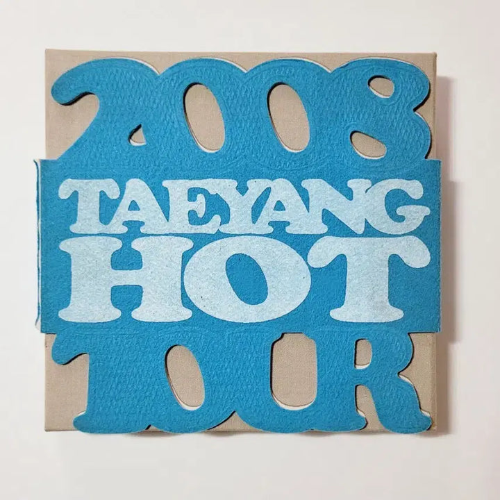빅뱅 2008 글로벌워닝  투어 & 태양 1st 콘서트 DVD