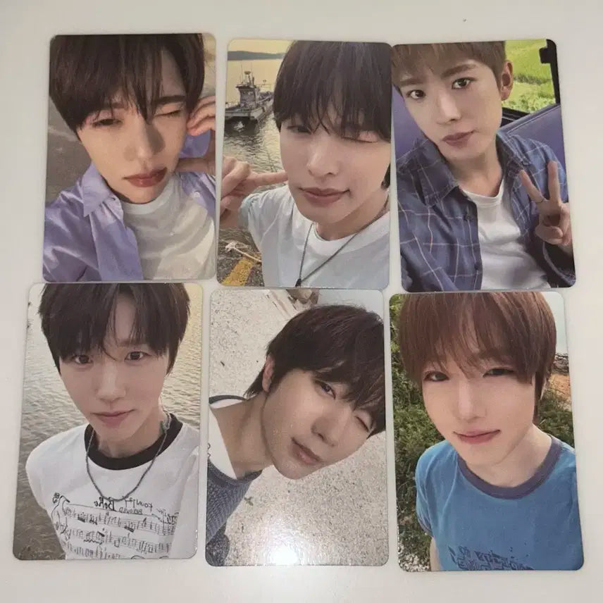 엔시티 위시 컬러 쇼케이스 당첨자 포카 양도
