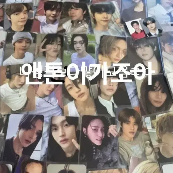 라이즈 포카 판매