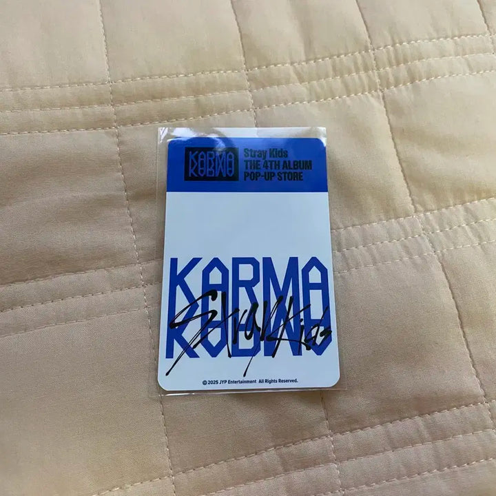 3RACHA 스키즈 팝업 럭드 포카