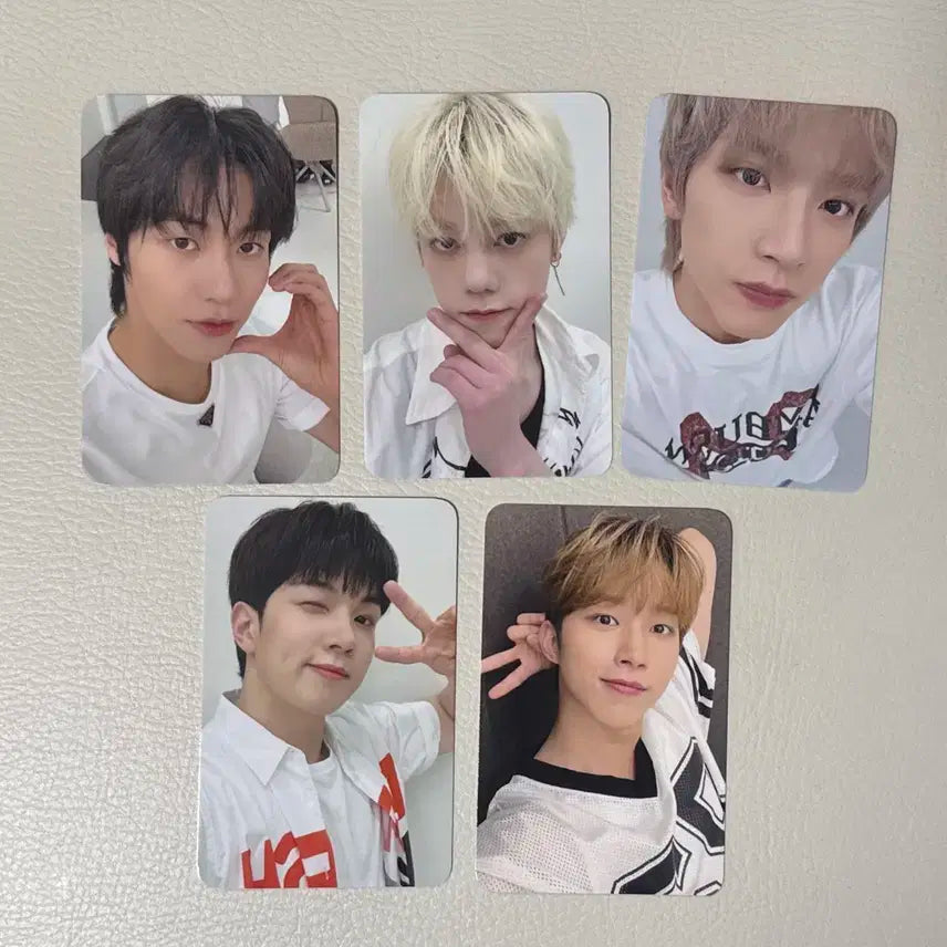 엔플라잉 미공포 에버라인