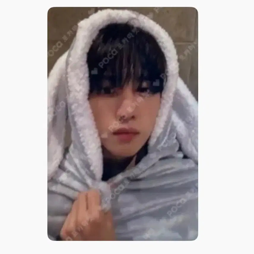 더보이즈 선우 토끼담요 포카 팔아요 양도해요