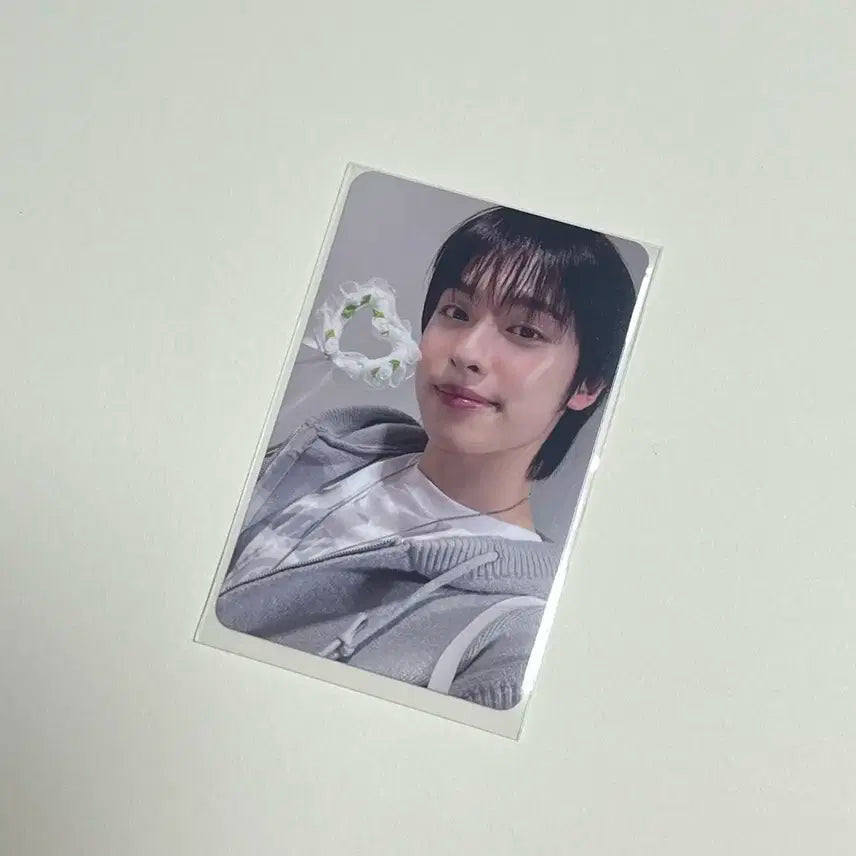 엑디즈 가온 뷰마 beautiful mind 서울콘 첫콘 입장 포카