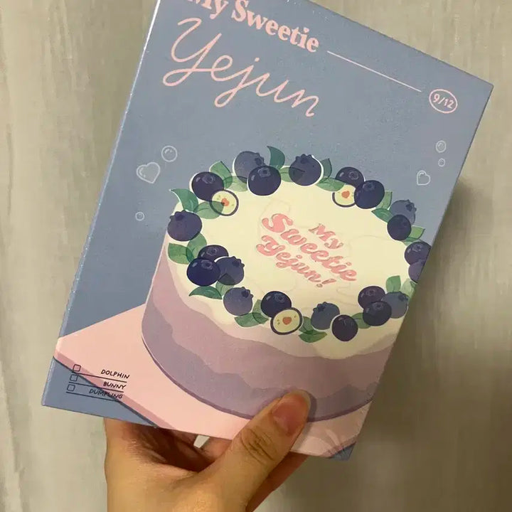 플레이브 예준 생일키트