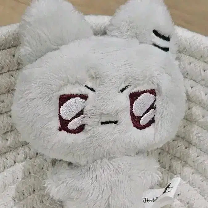 플레이프 플부땅 으노땅
