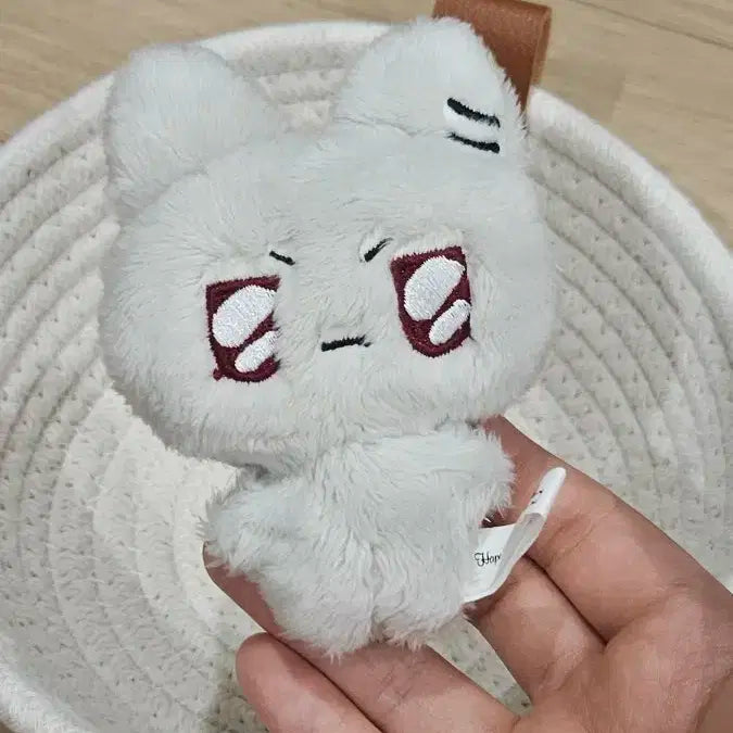 플레이프 플부땅 으노땅