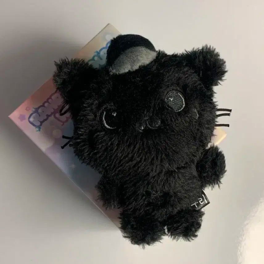 엔시티위시 컬러 위시돌 시크릿쿠리 블랙쿠리 까만쿠리