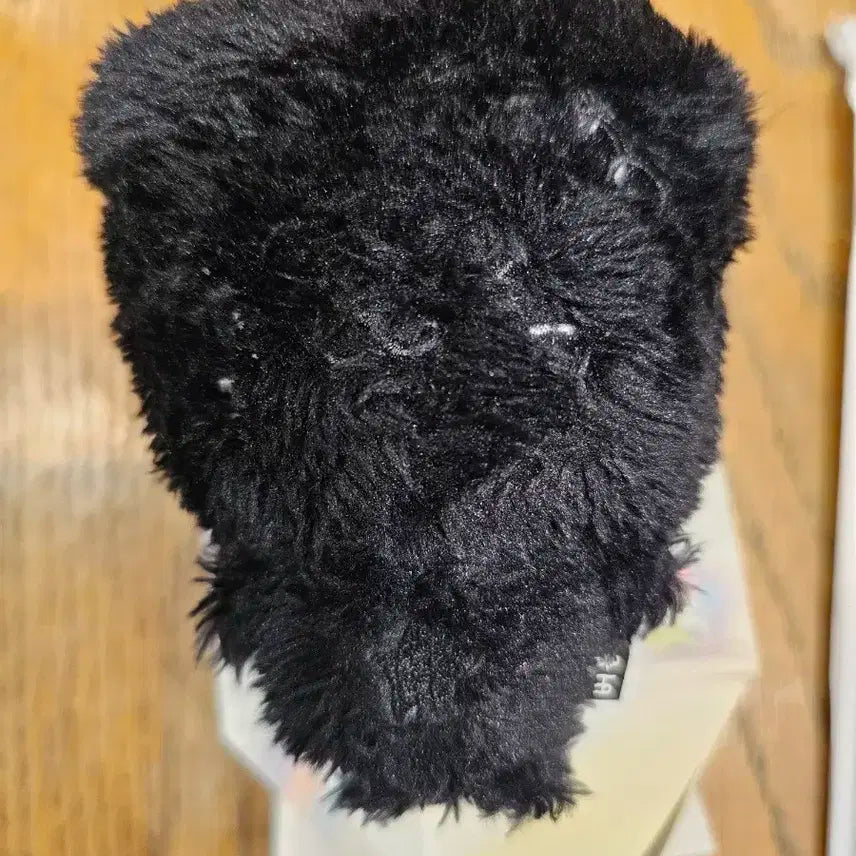 엔시티위시 컬러 위시돌 시크릿 버블냥