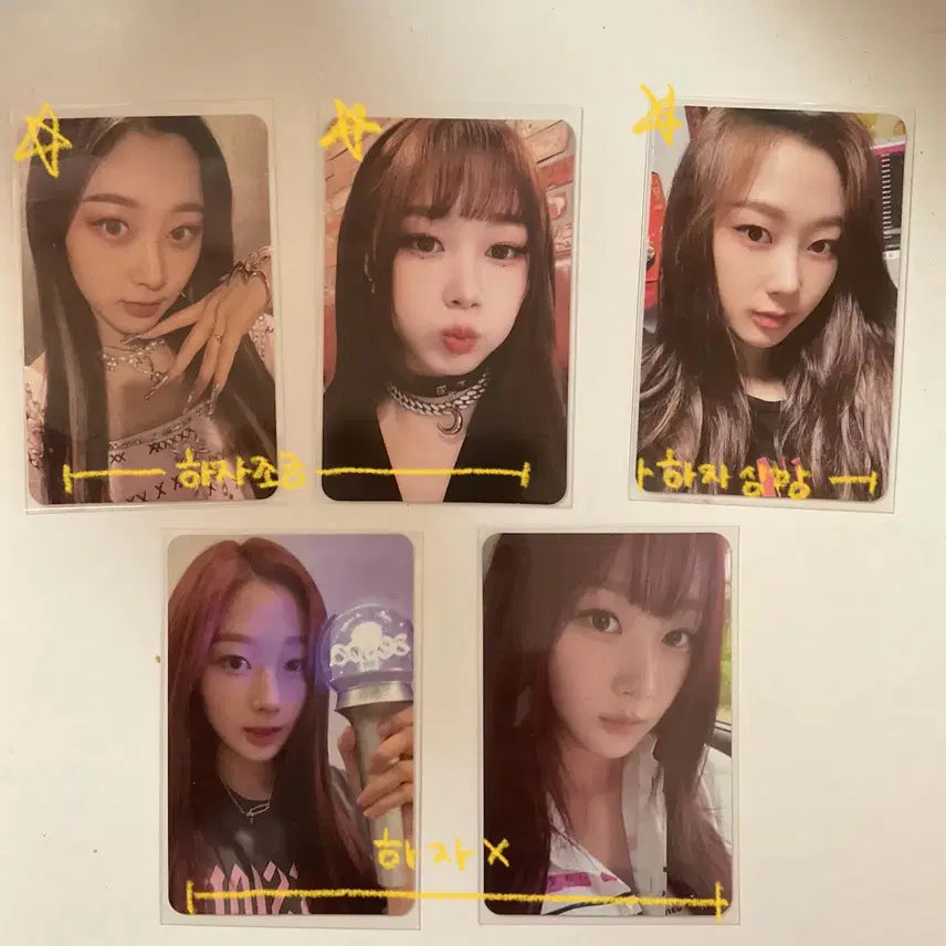 에스파 지젤 포카 양도