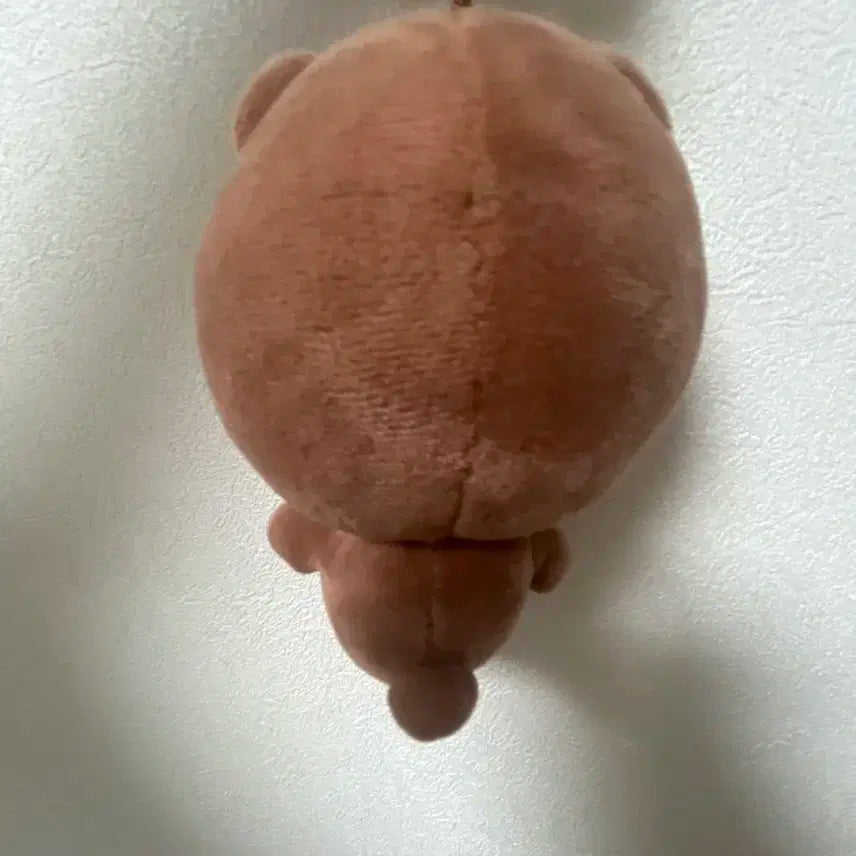 24 데니멀즈 방