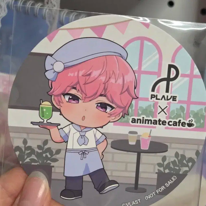 PLAVE 플레이브 애니메이트 특전