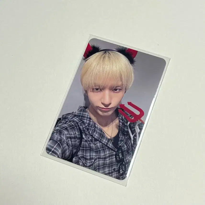 엑디즈 오드 뷰마 beautiful mind 서울콘 막콘 입장 포카