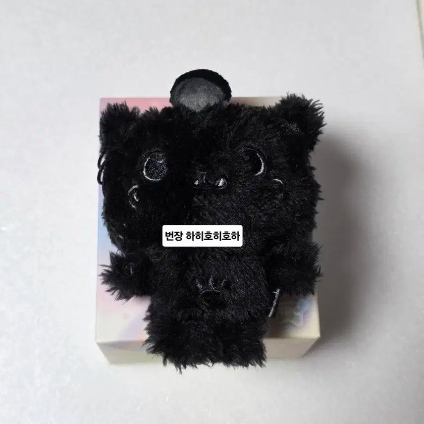 엔시티 위시 컬러 위시돌 리쿠 쿠리 블랙 검정 스페셜 위부부 양도