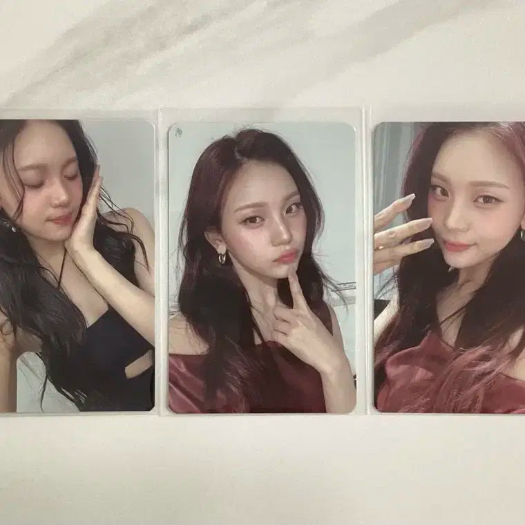 비비지 엄지포카 일괄판매