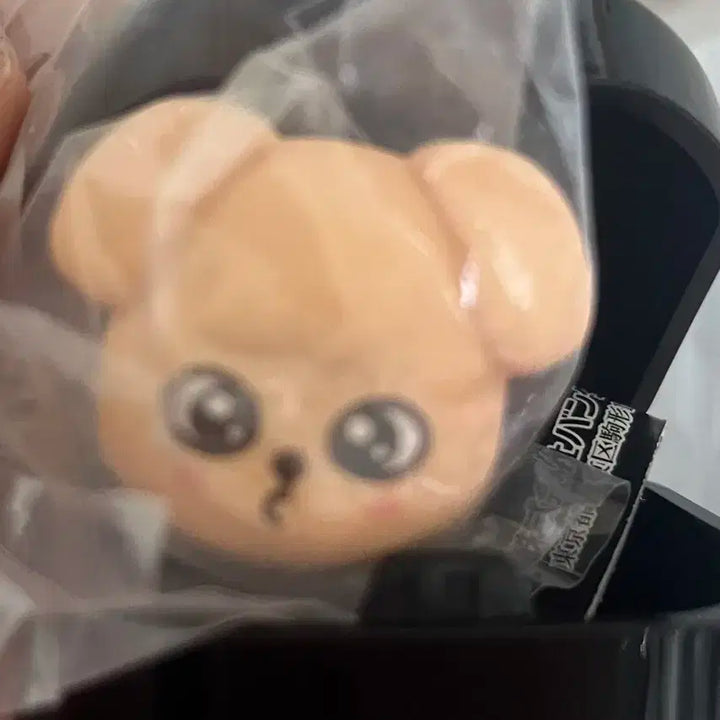 스키주 퍼핌 가챠 반지