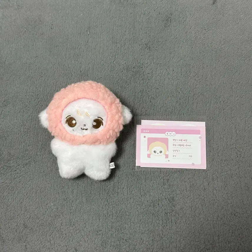 세븐틴 정한 인형 퐁하니 + 모자 + 입양증