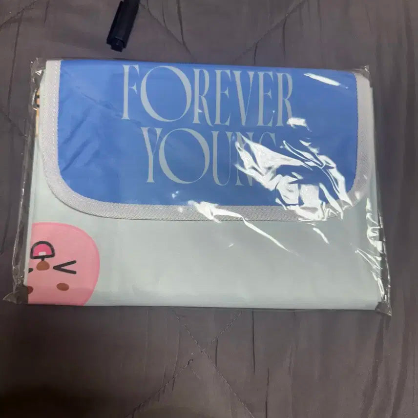 데니멀즈 피크닉 매트 세트 포카 ㅇ / 데이식스 성진 영케이 원필 도운