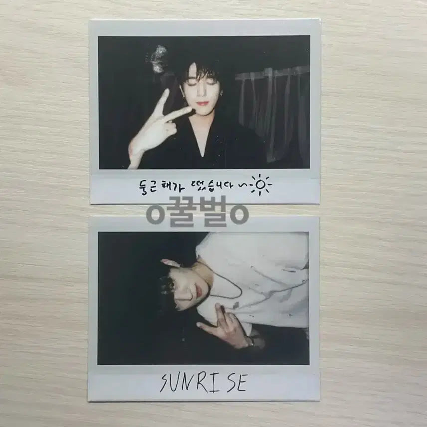 안전결제0) 데이식스 선라이즈 성진 폴라 포토카드 2장 일괄