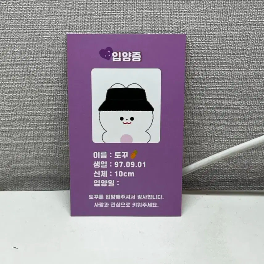 방탄 정국 10cm 토꾸 인형