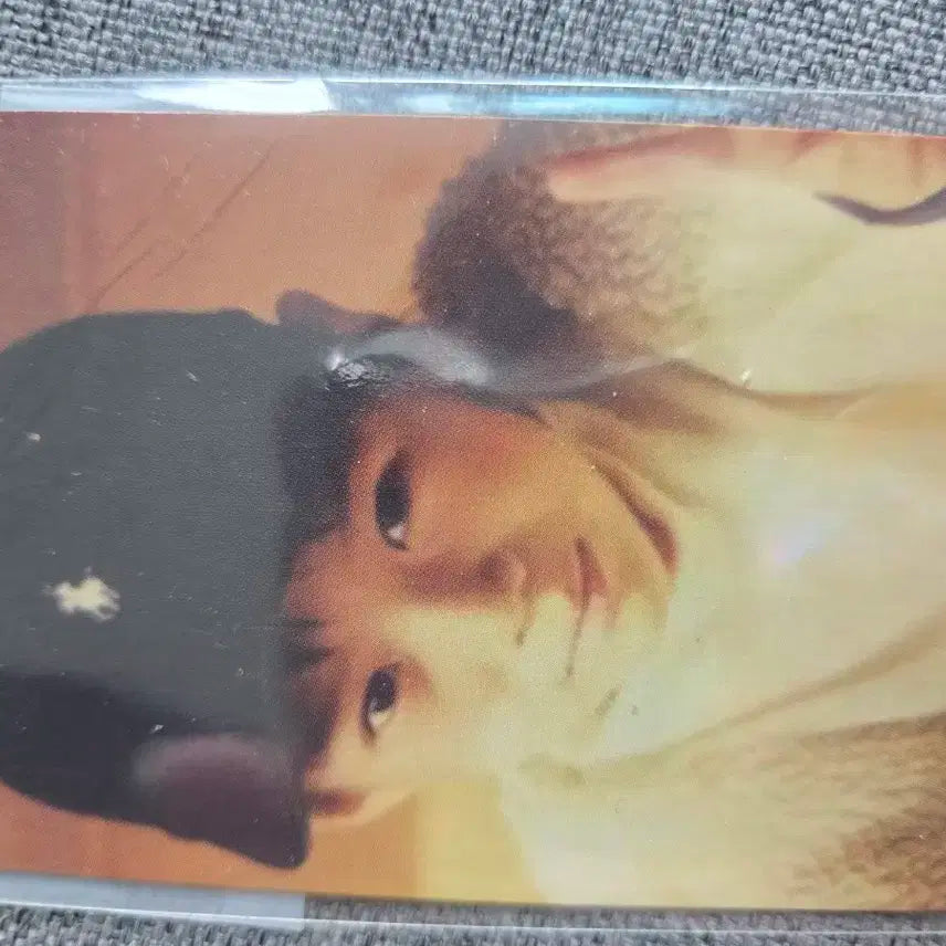 샤이니 태민 아가탬 원앤원 포카