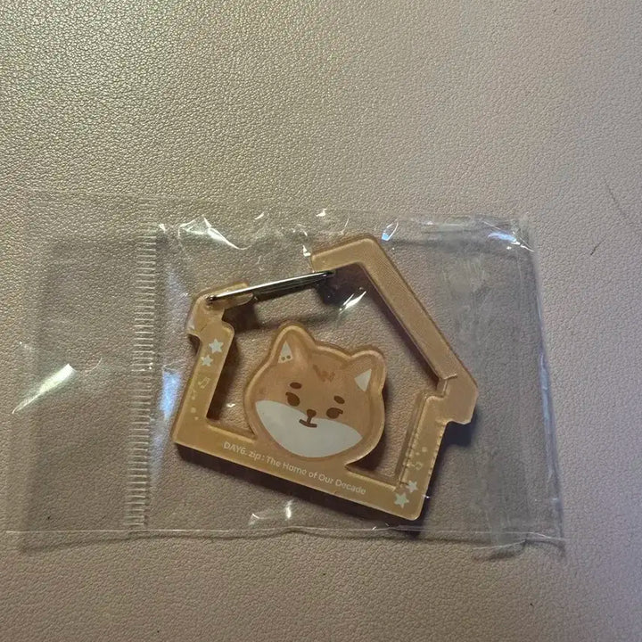 데이식스 카라비너 영케이 케