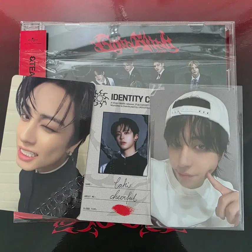 앤팀 타키 고인블라인드 스탠다드 세트