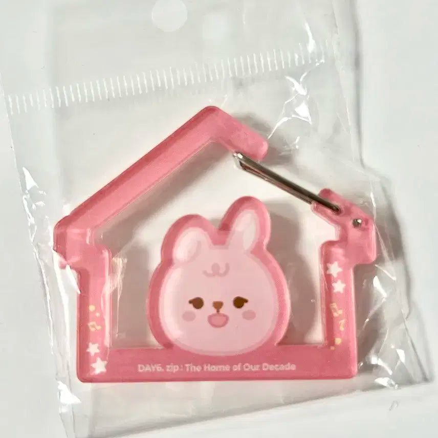 데이식스 데식집 필 카라비너 (원필)