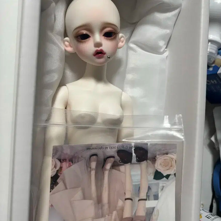 루츠돌 키드델프 두리 판매합니다