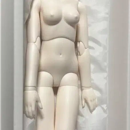 루츠돌 키드델프 두리 판매합니다