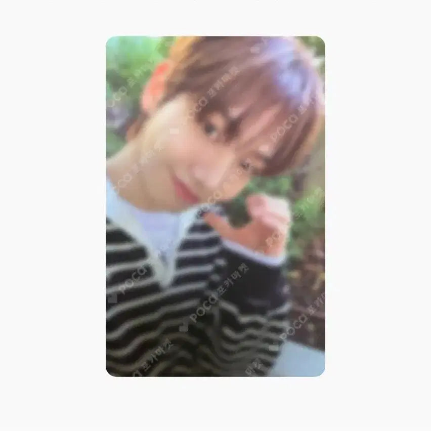보넥도 명재현 콜렉트북 포카 팝니다!