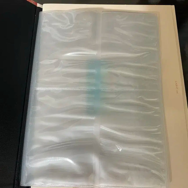 페더썬 민규 캐럿반