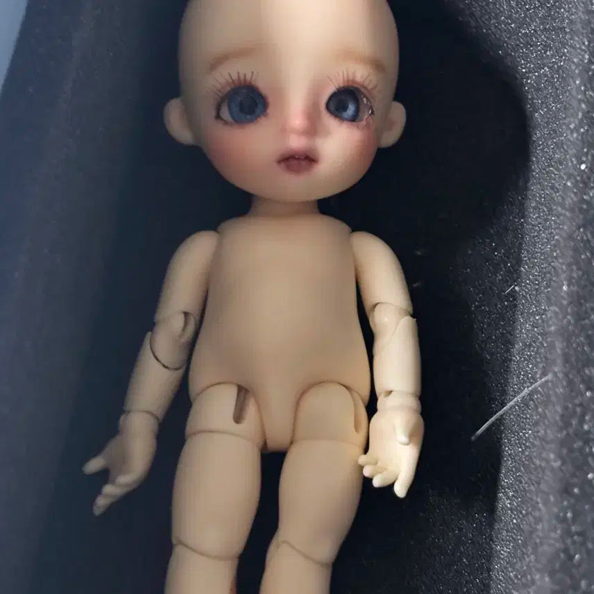 리나슈슈 베이비 피요 판매