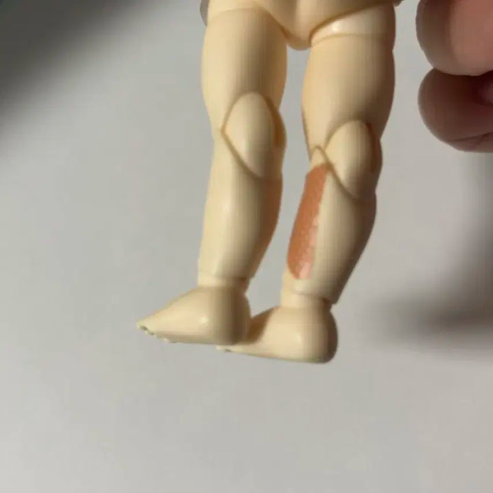 리나슈슈 베이비 피요 판매