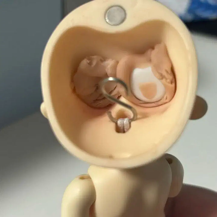 리나슈슈 베이비 피요 판매