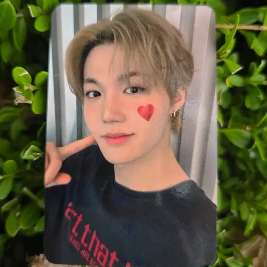 [트레저] 러브펄스 더세임인사 김도영 포카양도