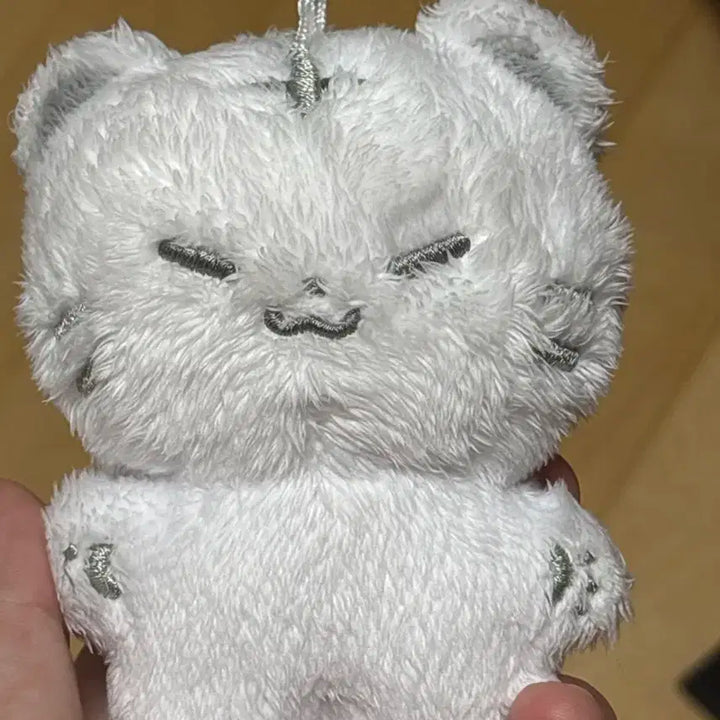 세븐틴 호시 10cm 인형 호찌 양도