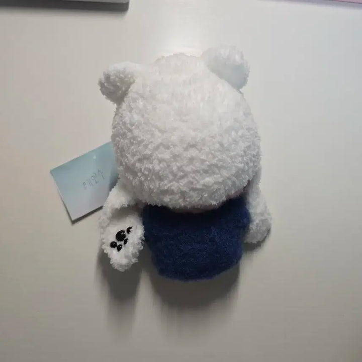 엔하이픈 양정원 10cm  인형 양도 ( 인형 + 옷 세트) 02