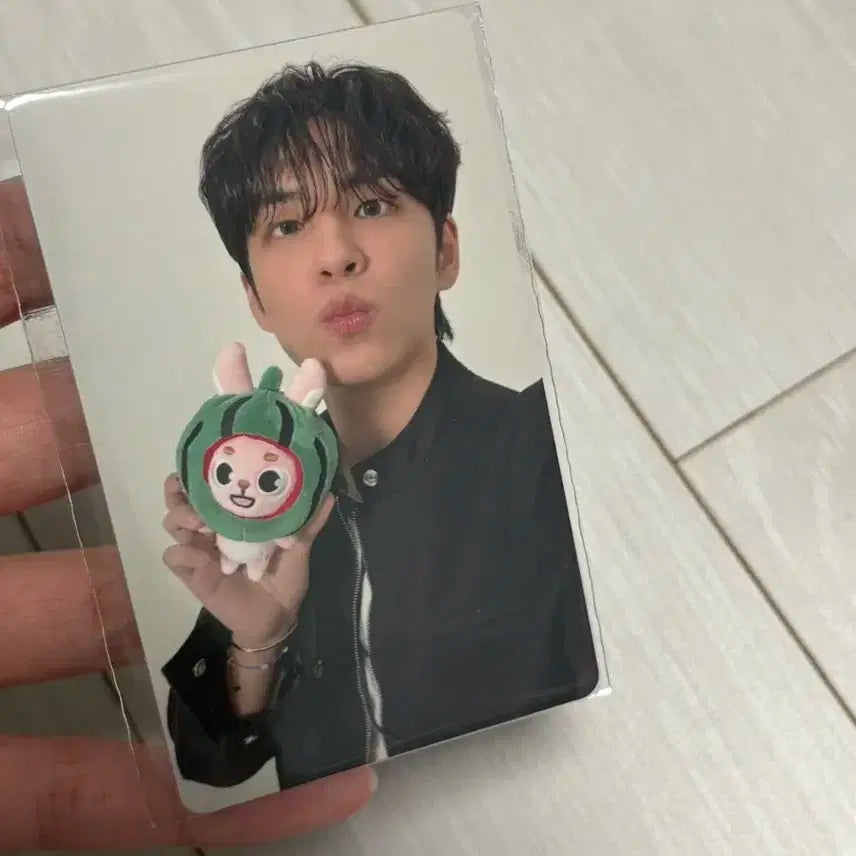 데이식스 피날레콘 4만원 포카 원필 데니멀즈 쁘띠멀즈 필