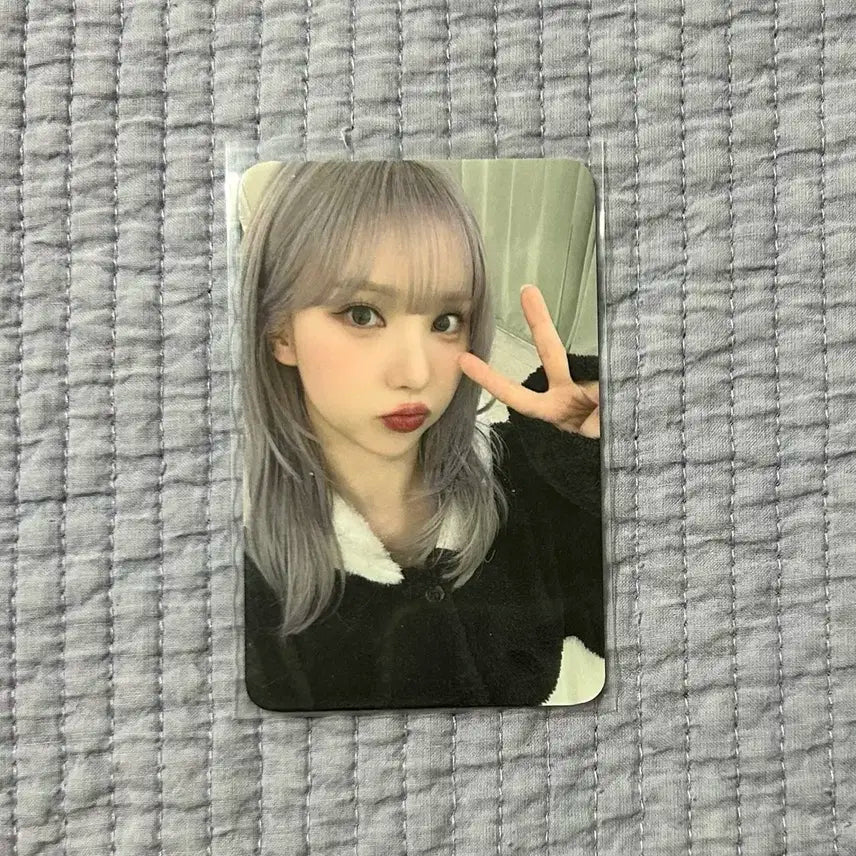 비비지 여자친구 미공포 포토카드 포카