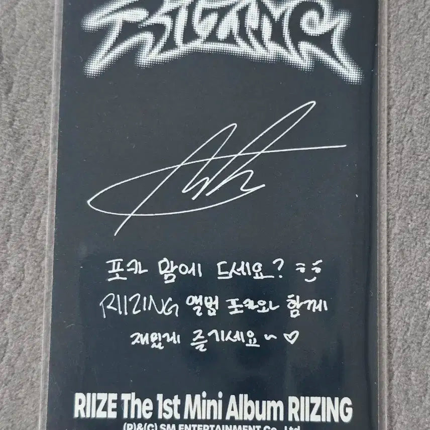 라이즈 앤톤 라이징데이 앨포 포카
